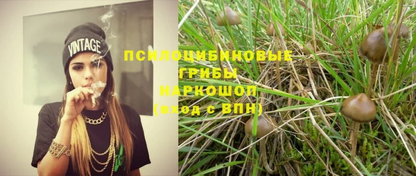 соль ск Володарск