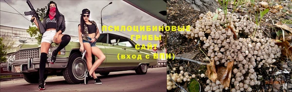 соль ск Володарск