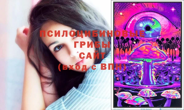 соль ск Володарск